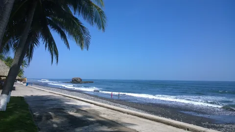 Palm-lined El Sunzal shore with sea stack and breaking waves