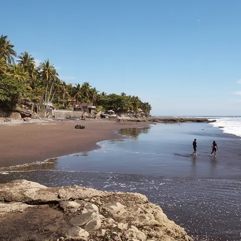 Black-sand beach and palm-lined shore at El Zonte