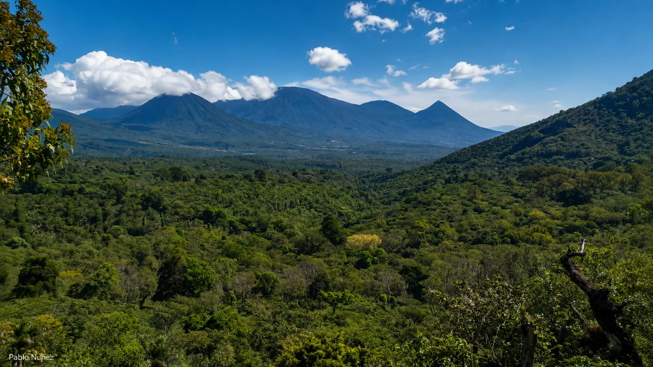 Apaneca Ciudad Productora De Cafe, shown in an owner-approved photograph from El Salvador